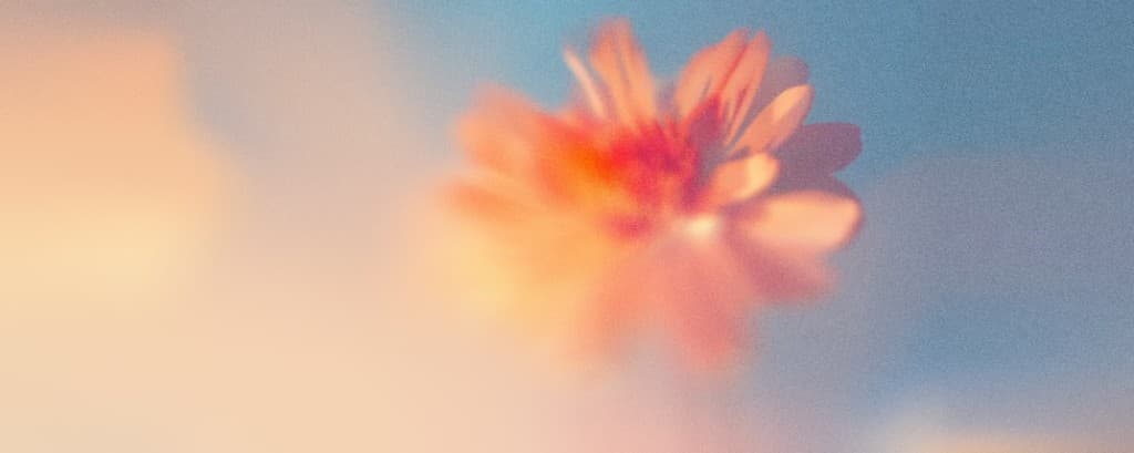 Decorative hero image