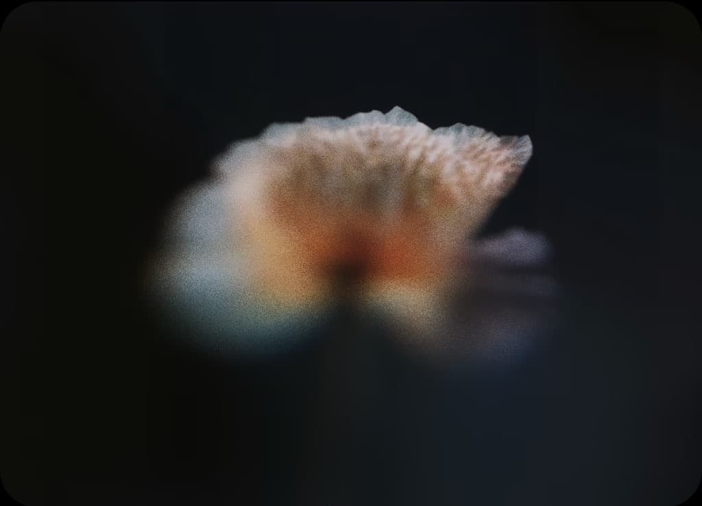 Otros cursos comparison card background